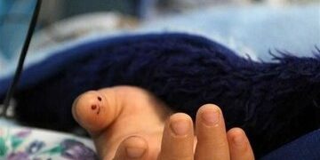 اطلاعیه آموزش و پرورش زنجان درباره فوت دانشآموز در ابهر؛ علت حادثه در دست بررسی است