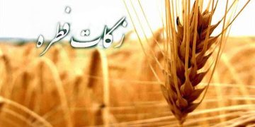 تحقق ۱۰۸ درصدی برنامه جمع‌آوری زکات در زنجان