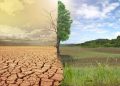 مقابله با بیابان‌زایی نیازمند مشارکت همگانی است